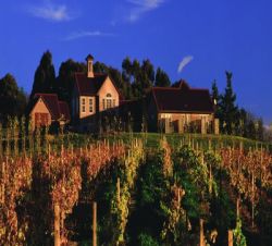 HOTELS S�DEN - The Bell Tower, Renwick, Marlborough